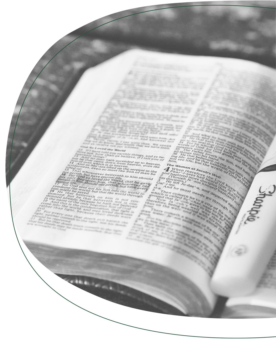 geöffnete Bibel mit Textmarker