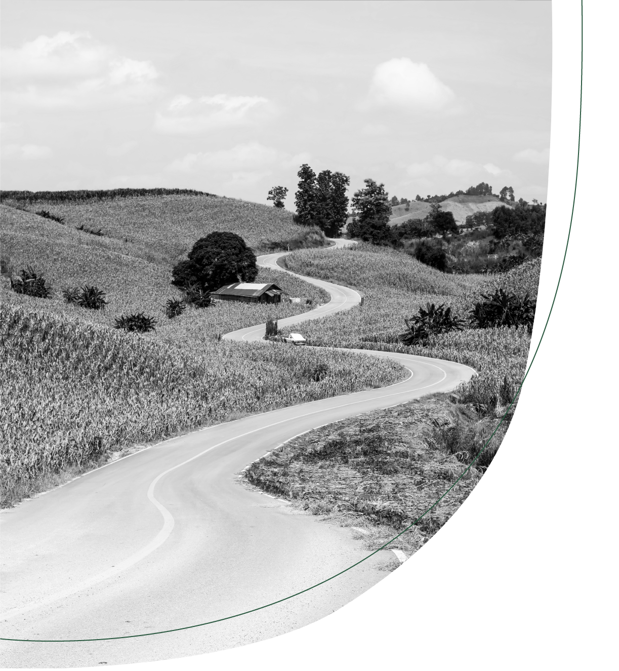 geschwungene Landstraße zwischen Hügeln mit Bäumen und Feldern
